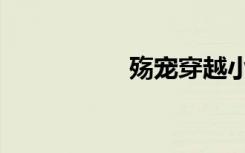 殇宠穿越小说（殇宠）