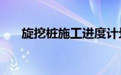旋挖桩施工进度计划表（旋挖桩施工）