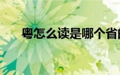 粤怎么读是哪个省的简称（粤怎么读）