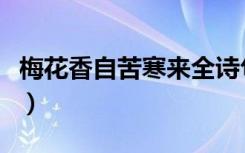梅花香自苦寒来全诗句（梅花香自苦寒来全诗）
