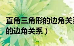 直角三角形的边角关系视频讲解（直角三角形的边角关系）