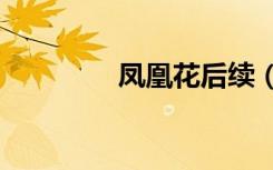 凤凰花后续（凤凰花续gl）