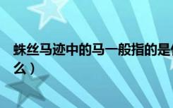 蛛丝马迹中的马一般指的是什么（蛛丝马迹中的马指的是什么）