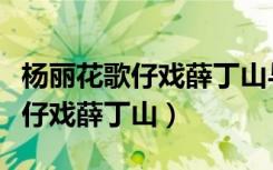 杨丽花歌仔戏薛丁山与樊梨花全集（杨丽花歌仔戏薛丁山）