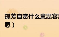 孤芳自赏什么意思容易理解（孤芳自赏什么意思）