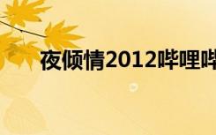 夜倾情2012哔哩哔哩（夜倾情2012）