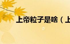上帝粒子是啥（上帝粒子有什么用）