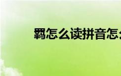 羁怎么读拼音怎么写（羁怎么读）