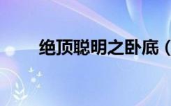 绝顶聪明之卧底（绝顶纯真之卧底）