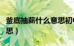 釜底抽薪什么意思初中化学（釜底抽薪什么意思）