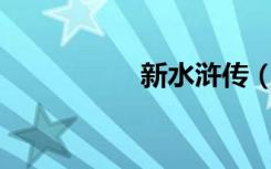 新水浒传（新水浒23）