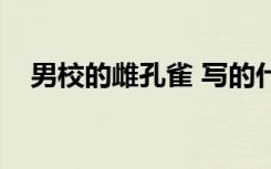 男校的雌孔雀 写的什么（男校的雌孔雀）