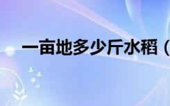 一亩地多少斤水稻（一亩地多少平方米）