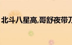 北斗八星高,哥舒夜带刀打一成语（北斗八星）