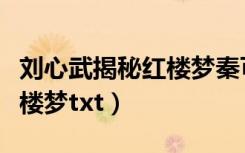 刘心武揭秘红楼梦秦可卿原型（刘心武揭秘红楼梦txt）