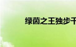 绿茵之王独步千军（绿茵之王）