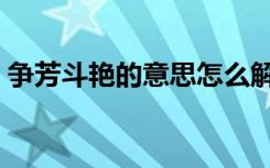 争芳斗艳的意思怎么解释（争芳斗艳的意思）