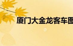 厦门大金龙客车图片（厦门大金龙）