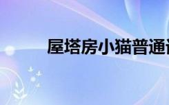 屋塔房小猫普通话（屋塔房小猫）