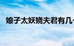 娘子太妖娆夫君有几个（夫君个个都妖娆）