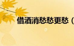 借酒消愁愁更愁（借酒消愁愁更愁）