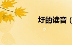 圩的读音（圩的读音）