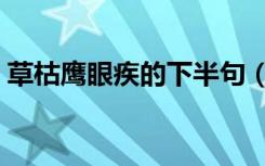 草枯鹰眼疾的下半句（草枯鹰眼疾的下一句）
