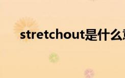 stretchout是什么意思（stretchout）