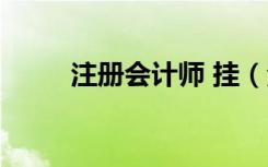 注册会计师 挂（注册会计师替考）