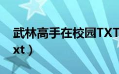 武林高手在校园TXT下载（武林高手在校园txt）