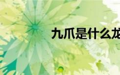 九爪是什么龙（九爪黄龙）
