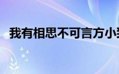 我有相思不可言方小致（我有相思不可言）
