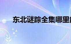 东北谜踪全集哪里能下载（东北谜踪）