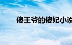 傻王爷的傻妃小说（痴王爷的傻妃）