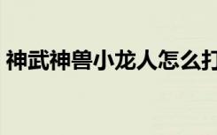 神武神兽小龙人怎么打书（神武神兽小龙人）