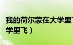 我的荷尔蒙在大学里飞阅读（我的荷尔蒙在大学里飞）