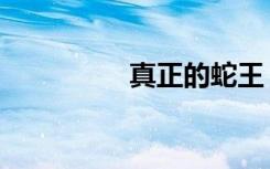 真正的蛇王（暴性蛇王）