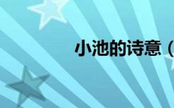 小池的诗意（小池的诗意）