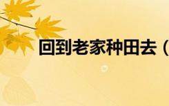 回到老家种田去（回到村里去种田）
