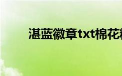 湛蓝徽章txt棉花糖（湛蓝徽章txt）