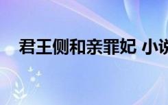 君王侧和亲罪妃 小说（君王侧和亲罪妃）