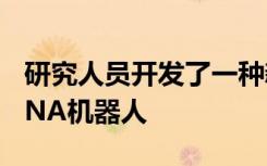 研究人员开发了一种新工具来设计更复杂的DNA机器人