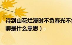 待到山花烂漫时不负春光不负卿是什么意思（不负春光不负卿是什么意思）