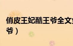 俏皮王妃酷王爷全文免费阅读（俏皮王妃酷王爷）