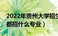 2022年贵州大学招生计划及招生人数（各省都招什么专业）