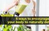 鼓励身体自然排毒的5种方法