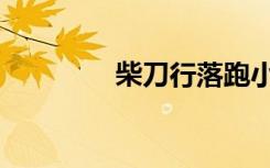 柴刀行落跑小猪（柴刀行）