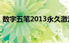 数字五笔2013永久激活码（数字五笔2005）
