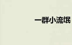 一群小流氓（流氓小兵）