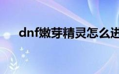 dnf嫩芽精灵怎么进化（dnf嫩芽精灵）